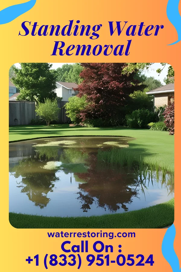 Standing Water Removal in Center, CO